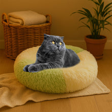 Ultra Soft Fluffy Pet Bed for Cats & Small Dogs – 1 Pc